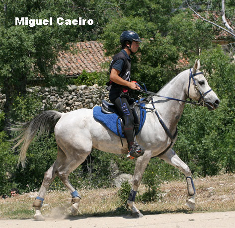 MiguelCaeiro9335