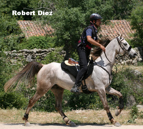 RobertDiez9396