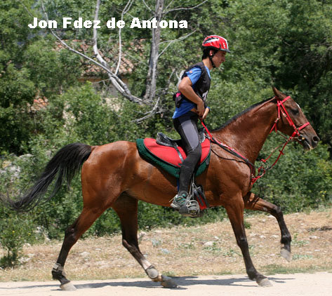 JonFdezDAntona9434