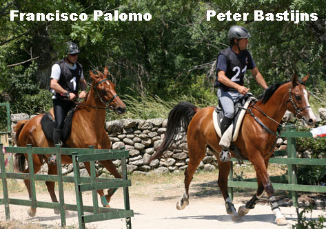 FPalomoPBastijns9445