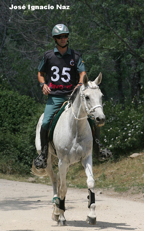 NachoNaz9538