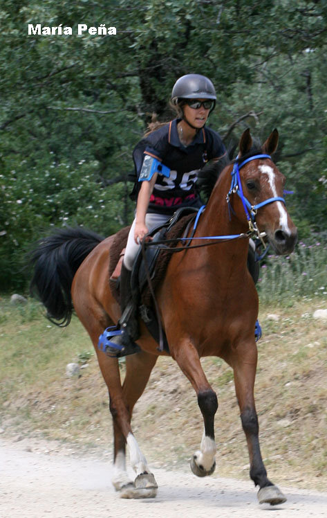 MariaPena9567