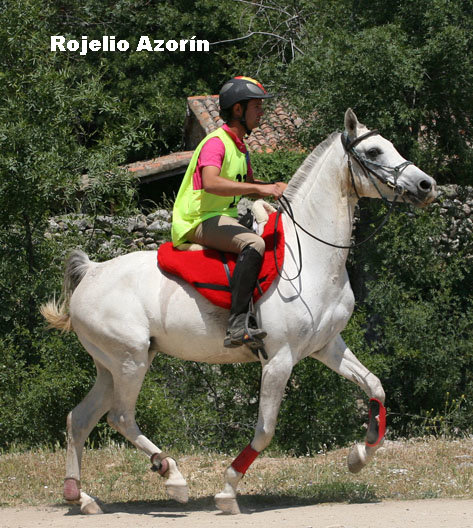 RojelioAzorin9866