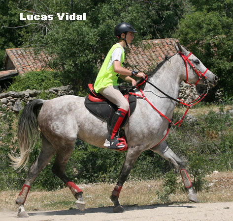 LucasVidal9876