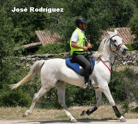 JoseRodriguez9858