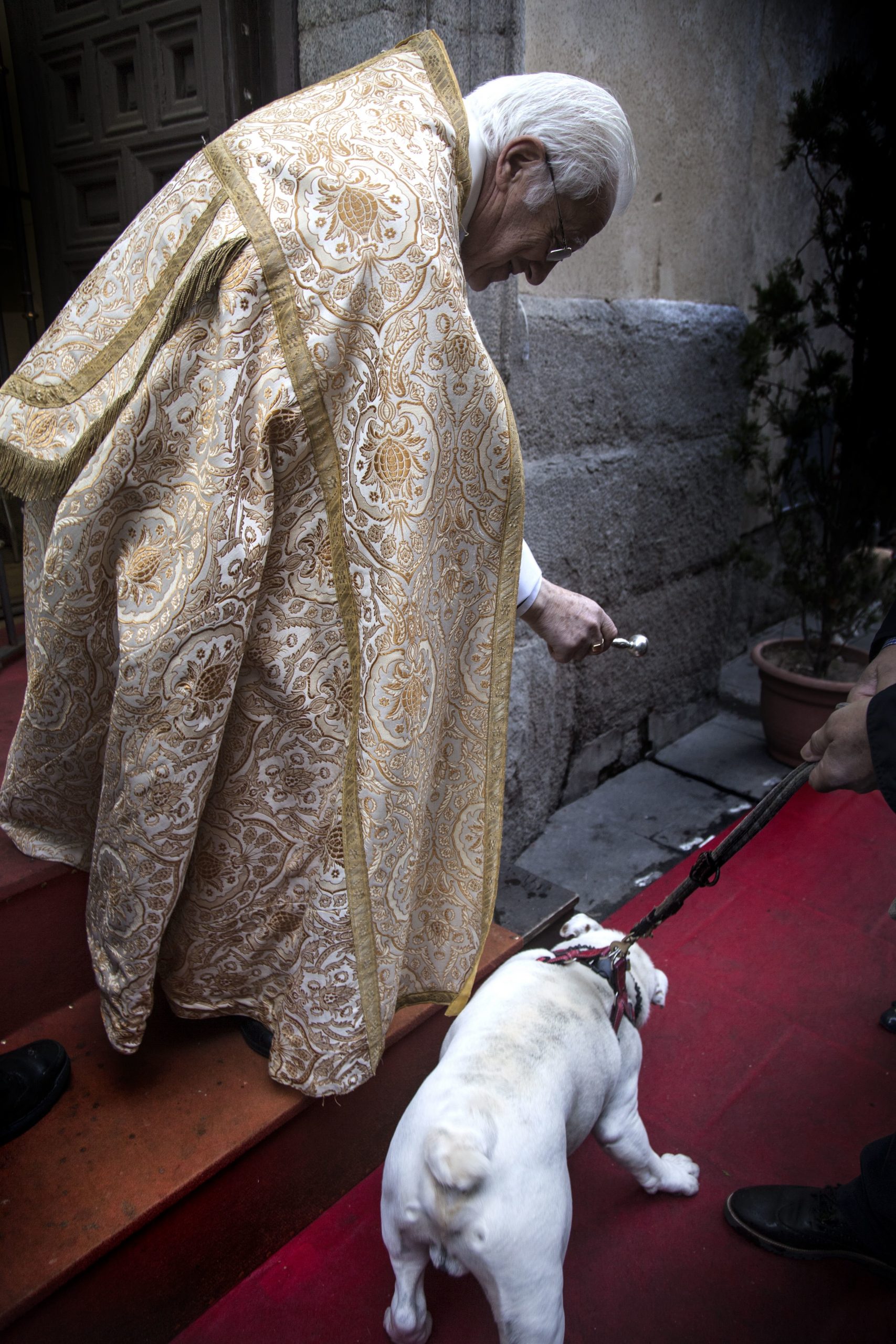 Padre Ángel