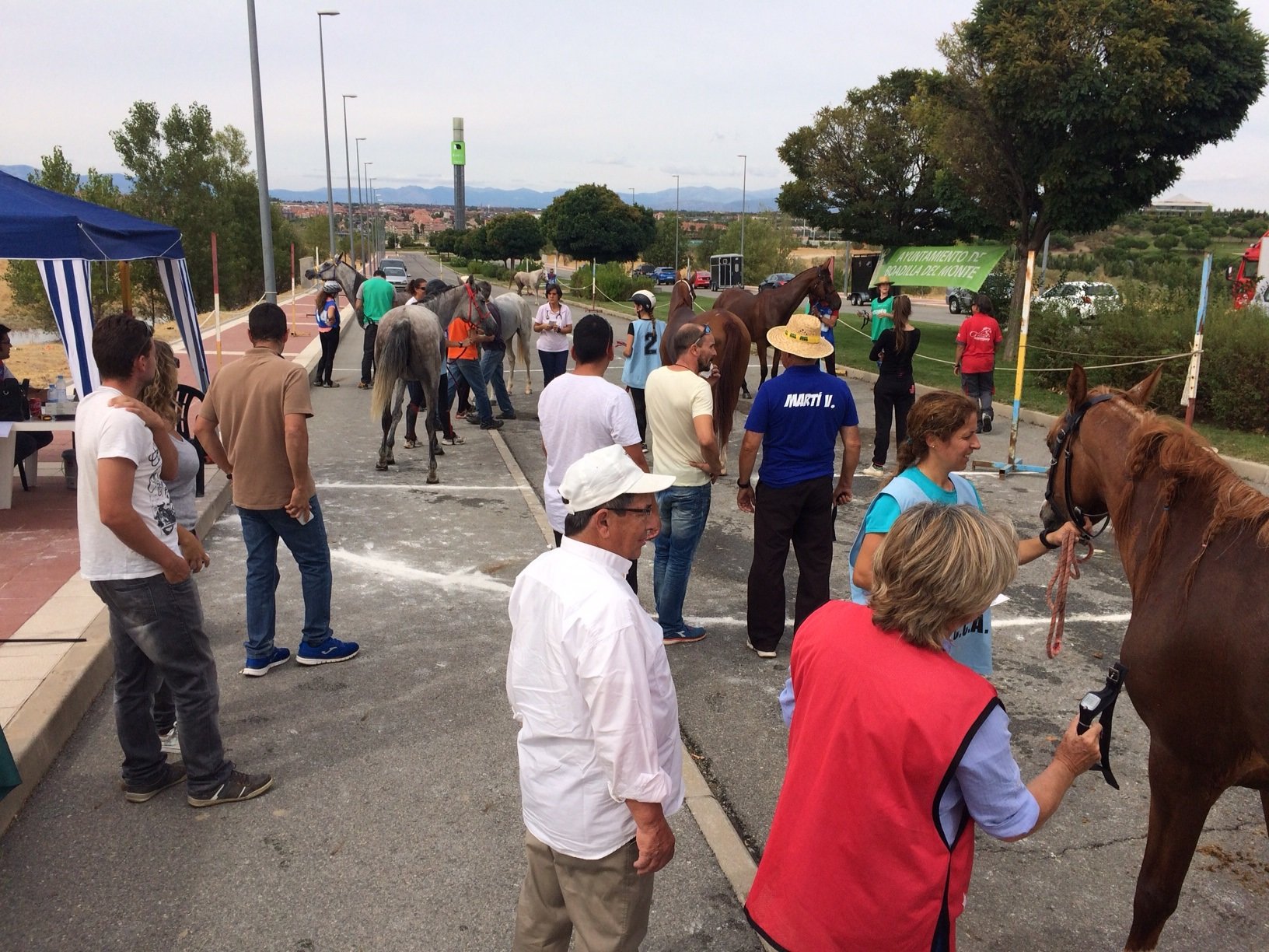 Raid Boadilla_2