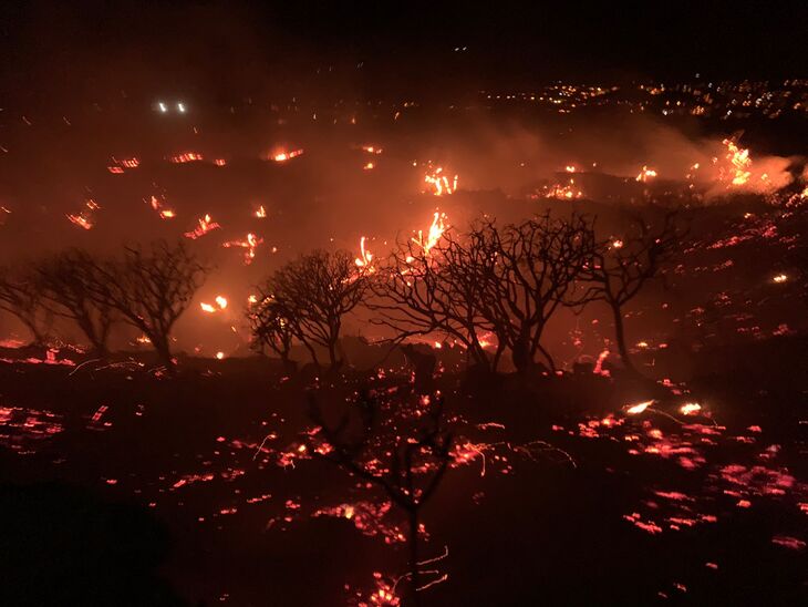 Fuego de La Palma (1)