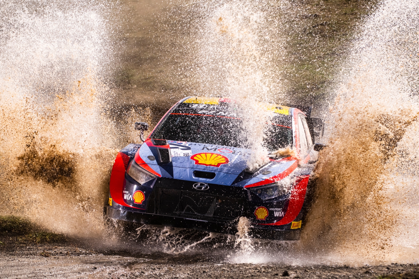 Dani Sordo WRC Hyundai