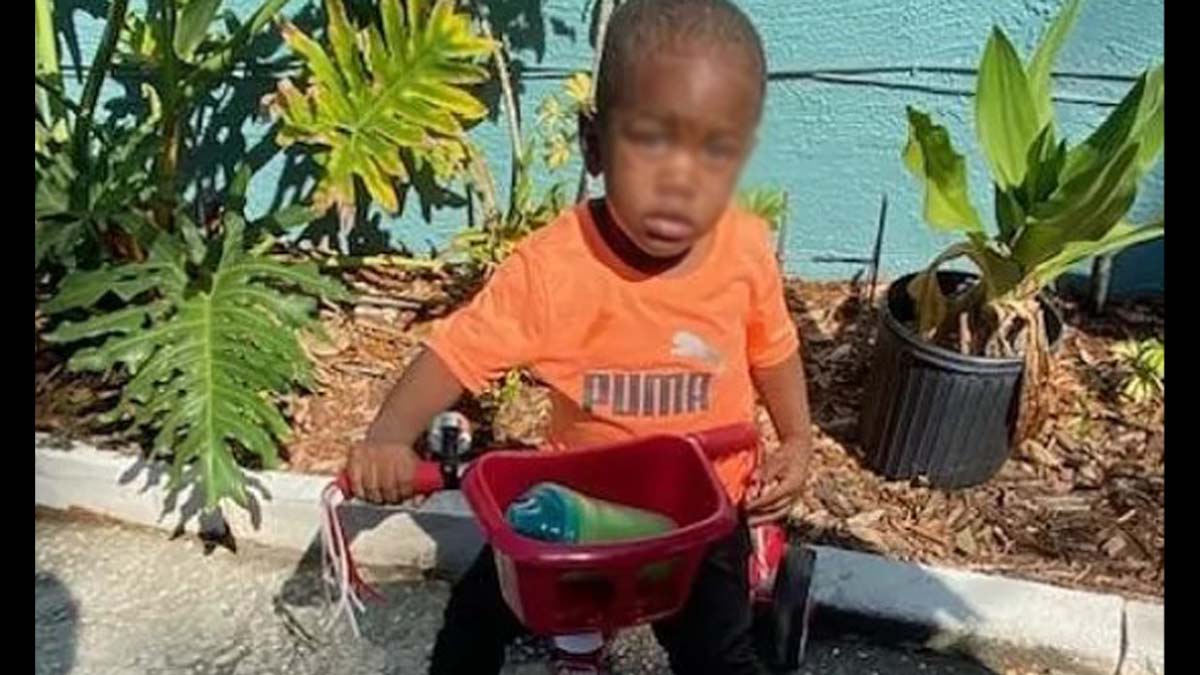Un caimán llevaba en la boca a Taylen