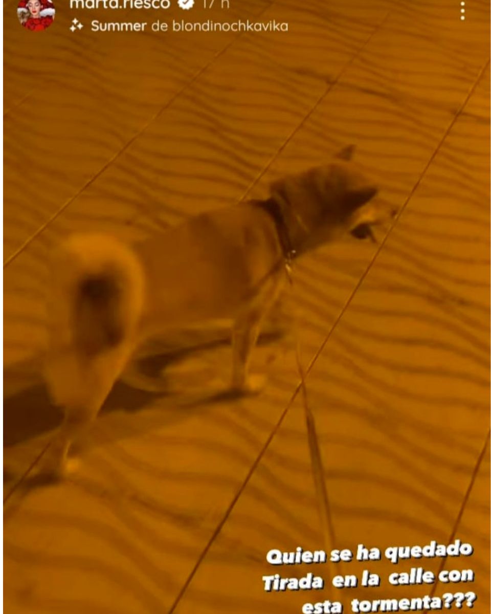 Marta Riesco paseando al perro en stories