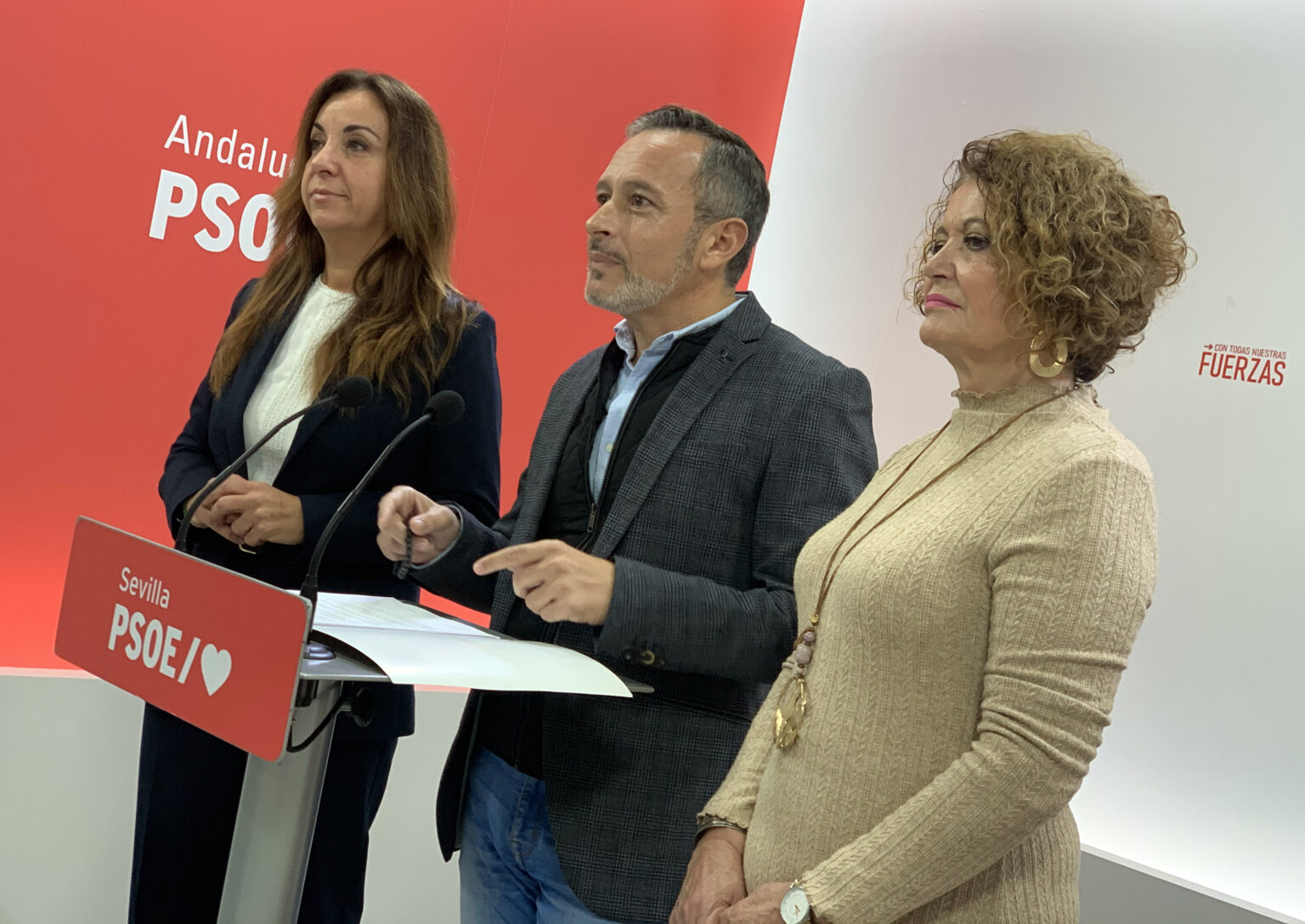 PSOE de Sevilla Andalucía
