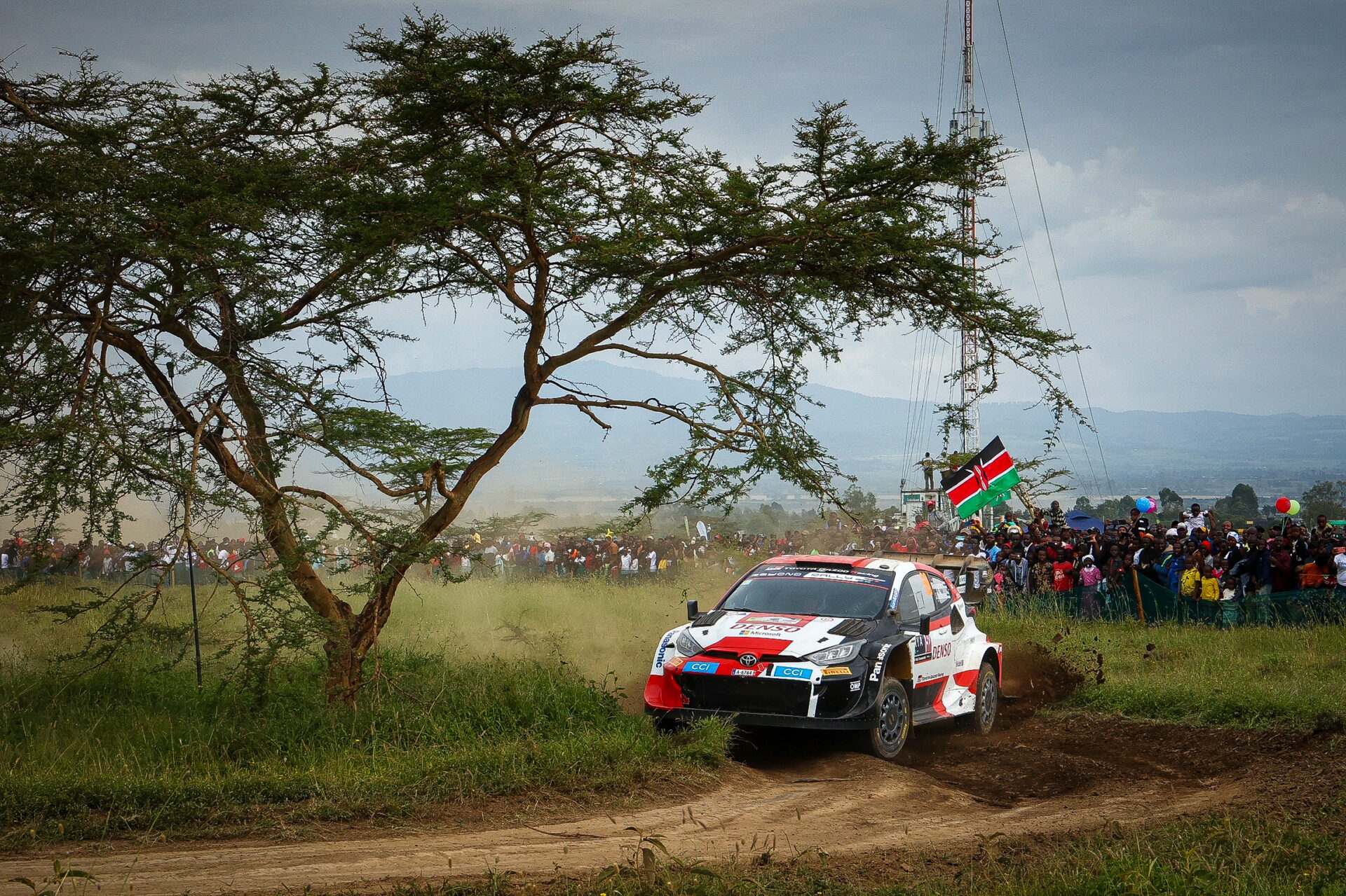 Rallye Safari 2023 WRC Toyota