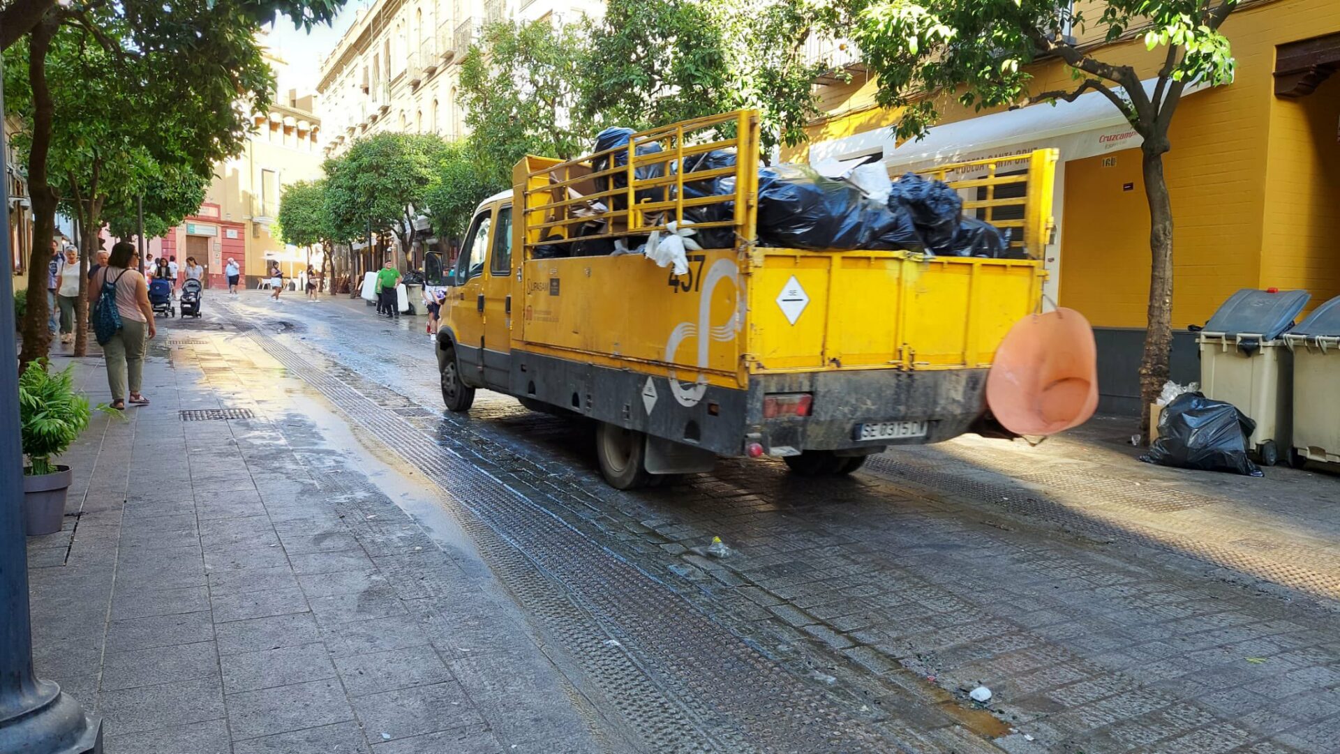Lipasam cera Sevilla