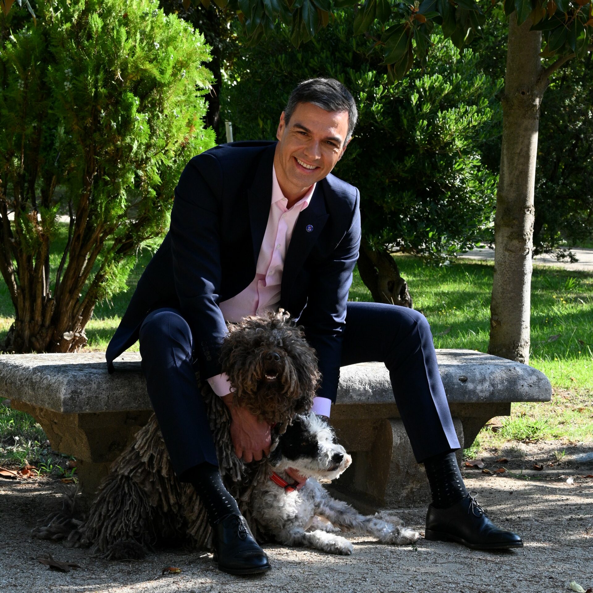 Pedro Sánchez PSOE presidente Gobierno España