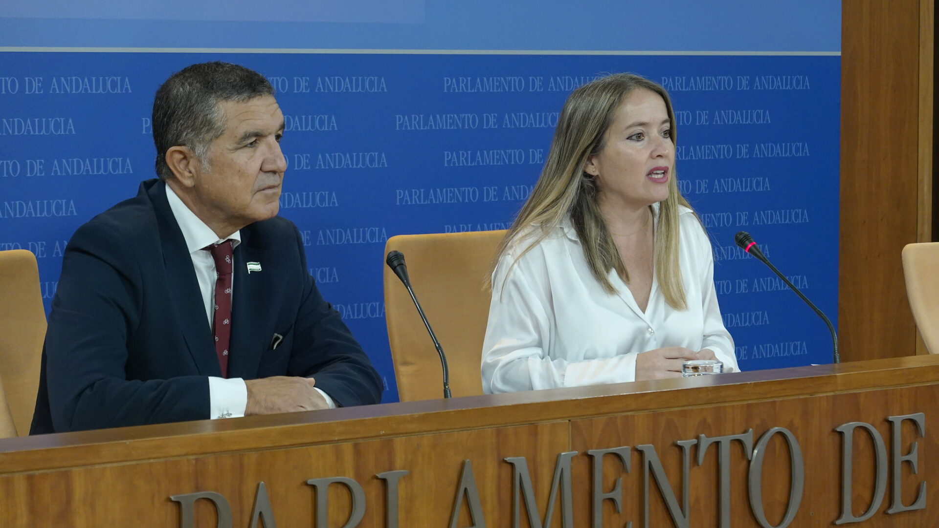 PSOE Andalucía Alicia Murillo