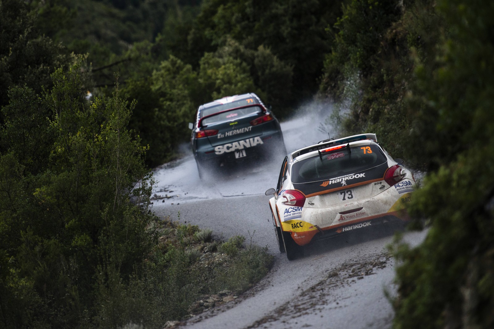 Hankook Nil Solans WRC Peugeot