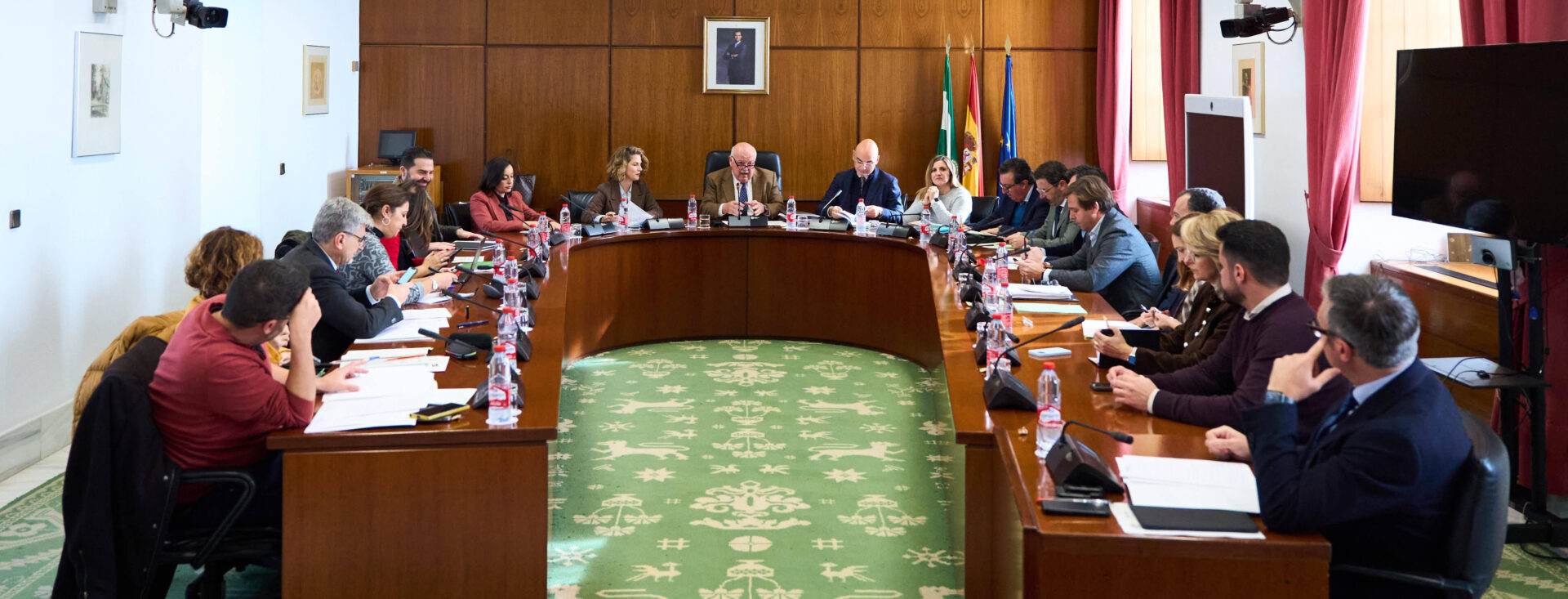 Parlamento Andalucía enero Diputación Permanente