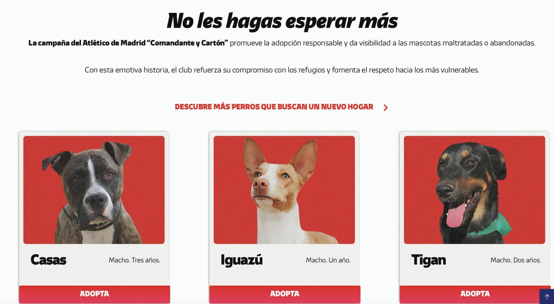 El Atlético de Madrid felicita la Navidad