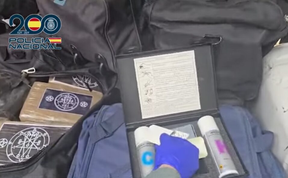 Cae organización criminal internacional e intervienen 873 kilos cocaína