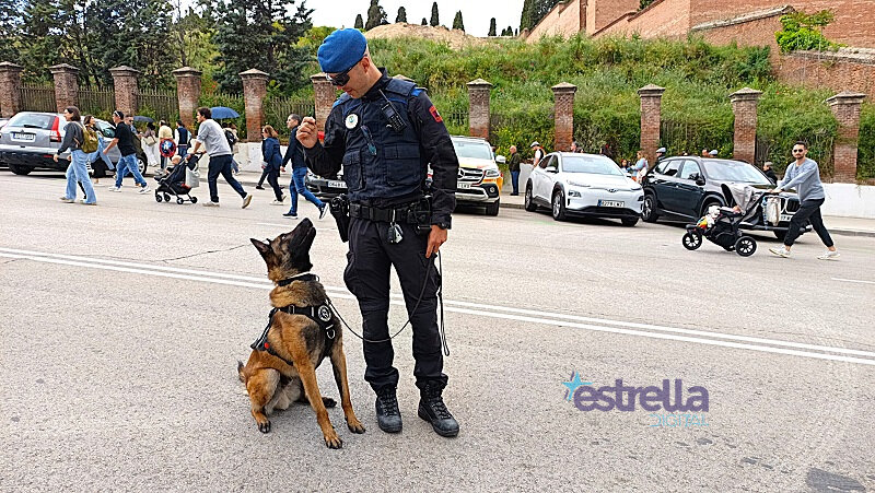 Chule, uno de los perros policía de la Sección Canina