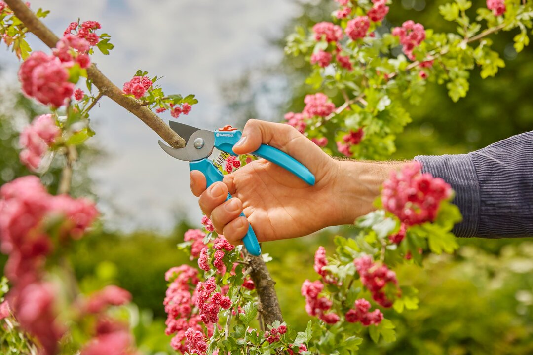 La tijera de jardín EasyCut de GARDENA