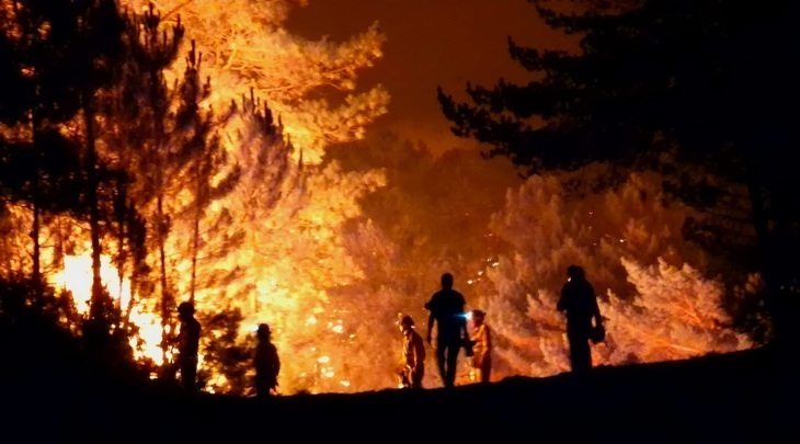 Los incendios en España dejan ya dos muertos y 25.000 hectáreas quemadas