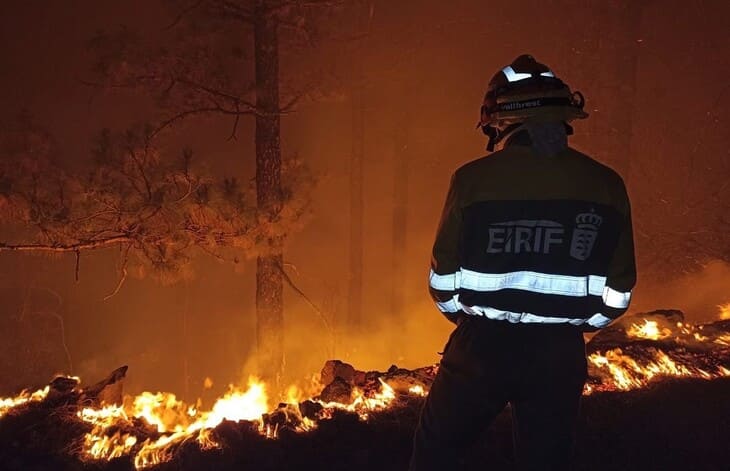 Imagen De Se Estabilizan Los Fuegos Más Virulentos En Castilla Y León Y Tenerife 1 Miembro Equipo Bomberos Canarias 2 1