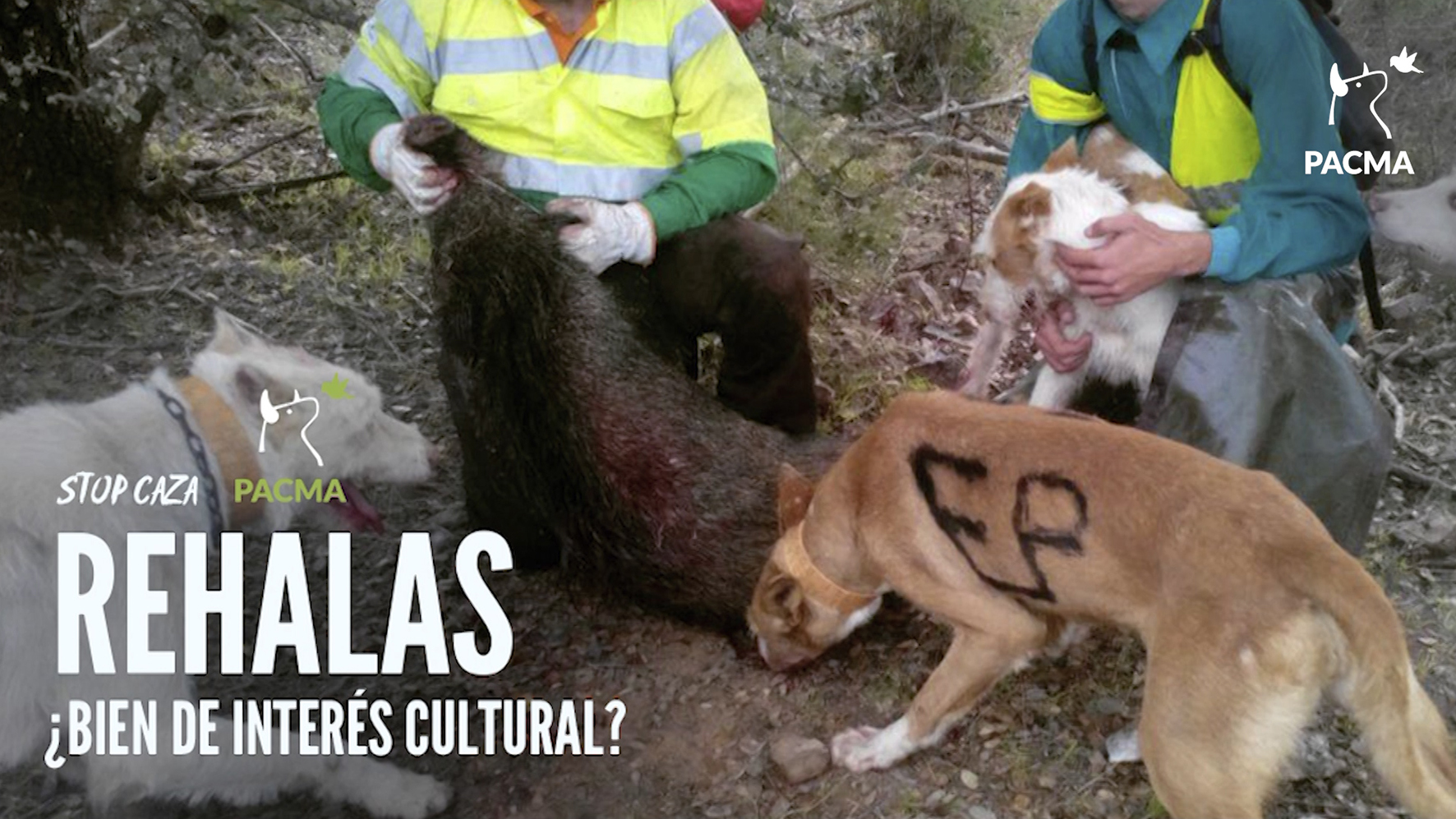 Imagen De Los Perros De Caza Y Pastoreo: Otra Batalla Entre El Campo Y El Gobierno Central 3 Pacma