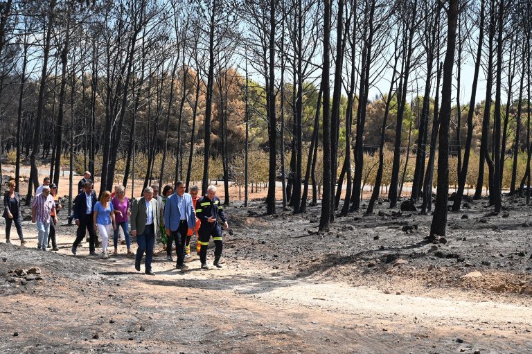 El Gobierno declarará zonas catastróficas los grandes incendios de este verano
