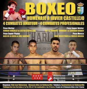 Imagen De El Boxeo Homenajea A Javier Castillejo En Valdemorillo 1 17973 Valdemorillo Velada