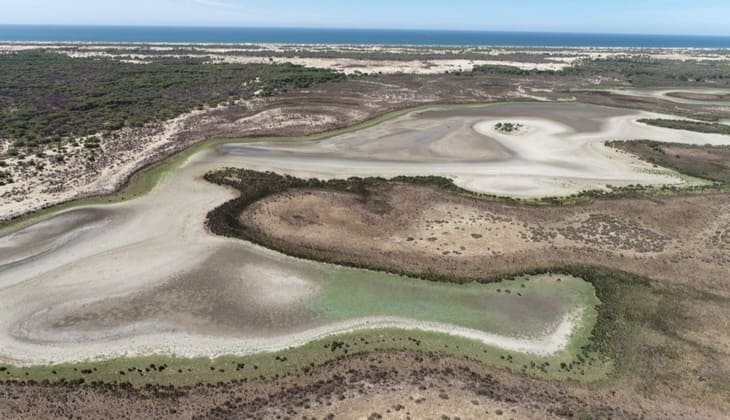 La laguna más grande de Doñana se seca por la sequía y sobreexplotación