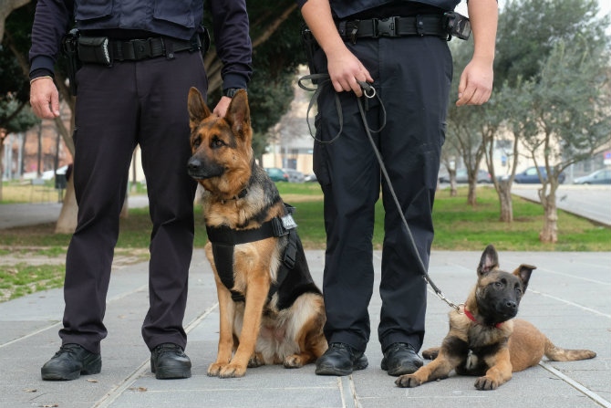 Ayuso anuncia patrullas caninas para evitar el tráfico de drogas en los colegios
