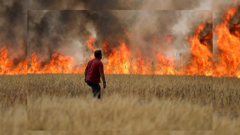 Muere el hombre que huyó de las llamas en el incendio de Tábara 
