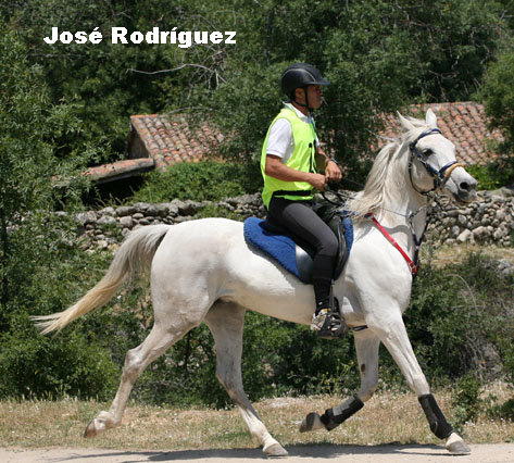 Joserodriguez9858