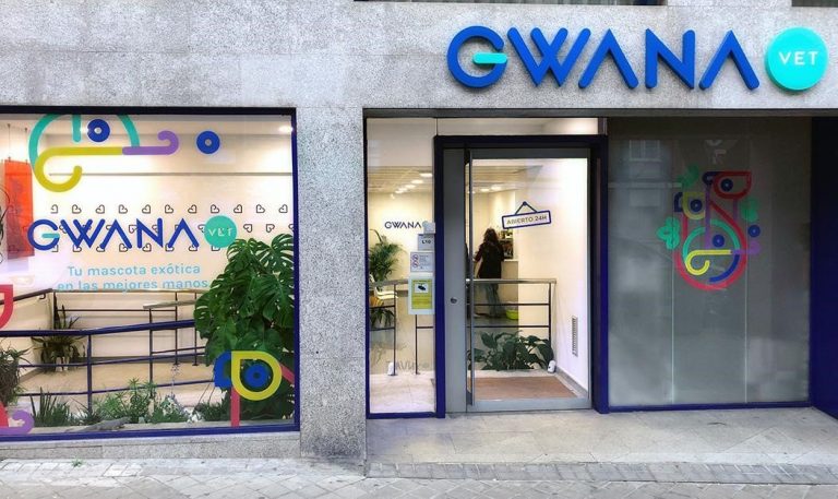 Veterinario de exóticos en Madrid Gwana Vet