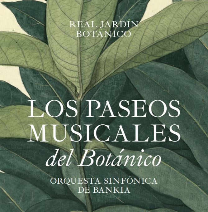 El Real Jardín Botánico inaugura el verano con un ciclo de ‘Paseos Musicales’ de la mano de la Orquesta Sinfónica de Bankia