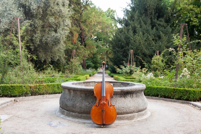 El Real Jardín Botánico inaugura este viernes un ciclo de ‘Paseos Musicales’ de la mano de la Orquesta Sinfónica de Bankia
