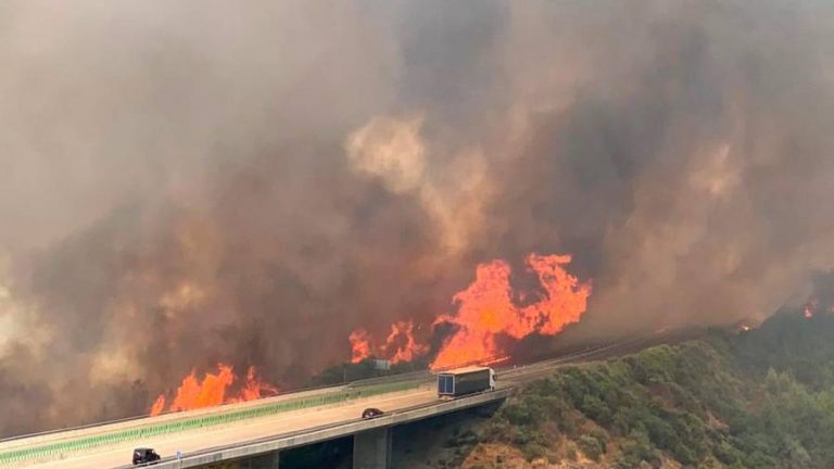 El incendio de Verín (Ourense) ha arrasado ya unas 100 hectáreas