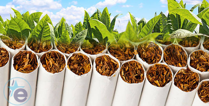 Cae la organización de fabricación ilegal de tabaco más importante de Europa