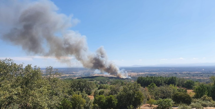 Medios aéreos y terrestres trabajan en sofocar un incendio en Candeleda (Ávila)