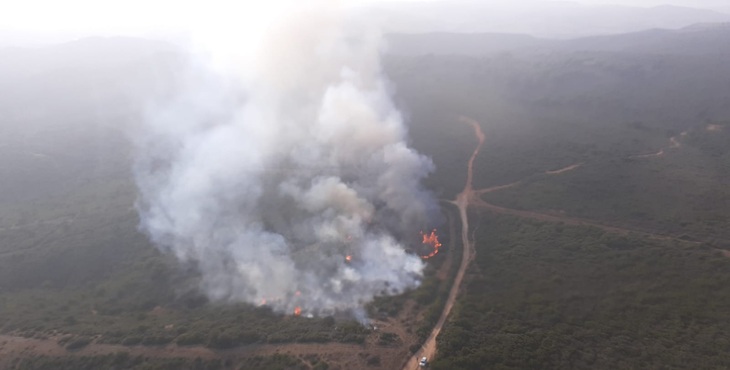Un incendio forestal se declara en San Roque (Cádiz)