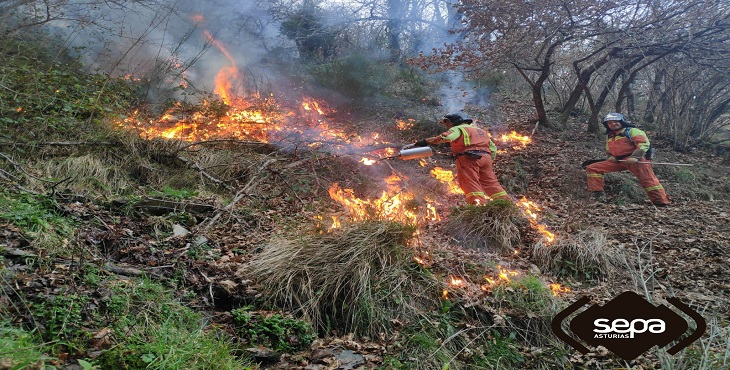 Continúan activos 35 incendios forestales en 15 municipios asturianos