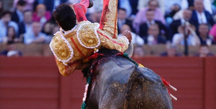 Imagen De El Torero Miguel Ángel Perera, Hospitalizado Con Una Cornada 1 Momento De La Cogida De Migue Langel Perera