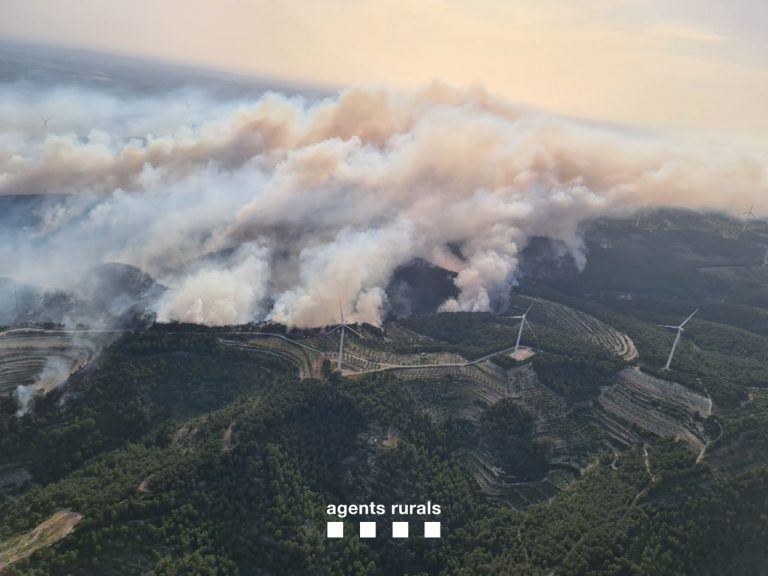 Los incendios de Artesa de Segre y Corbera d’Ebre superan las 700 hectáreas
