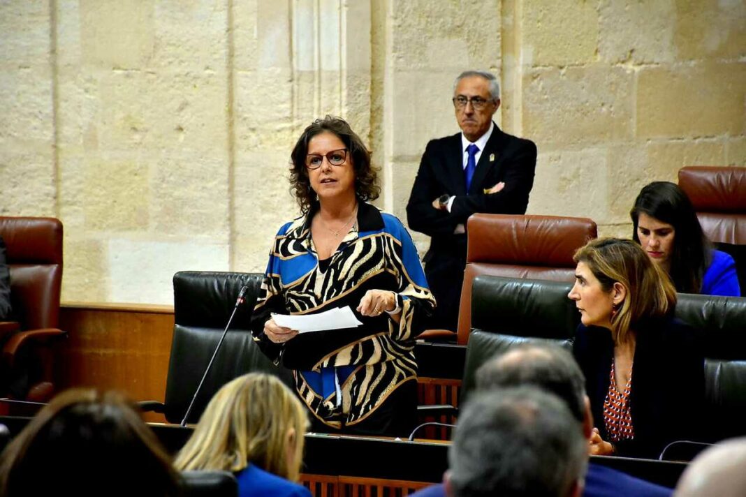 Carolina García Andalucía sanidad pública en Huelva