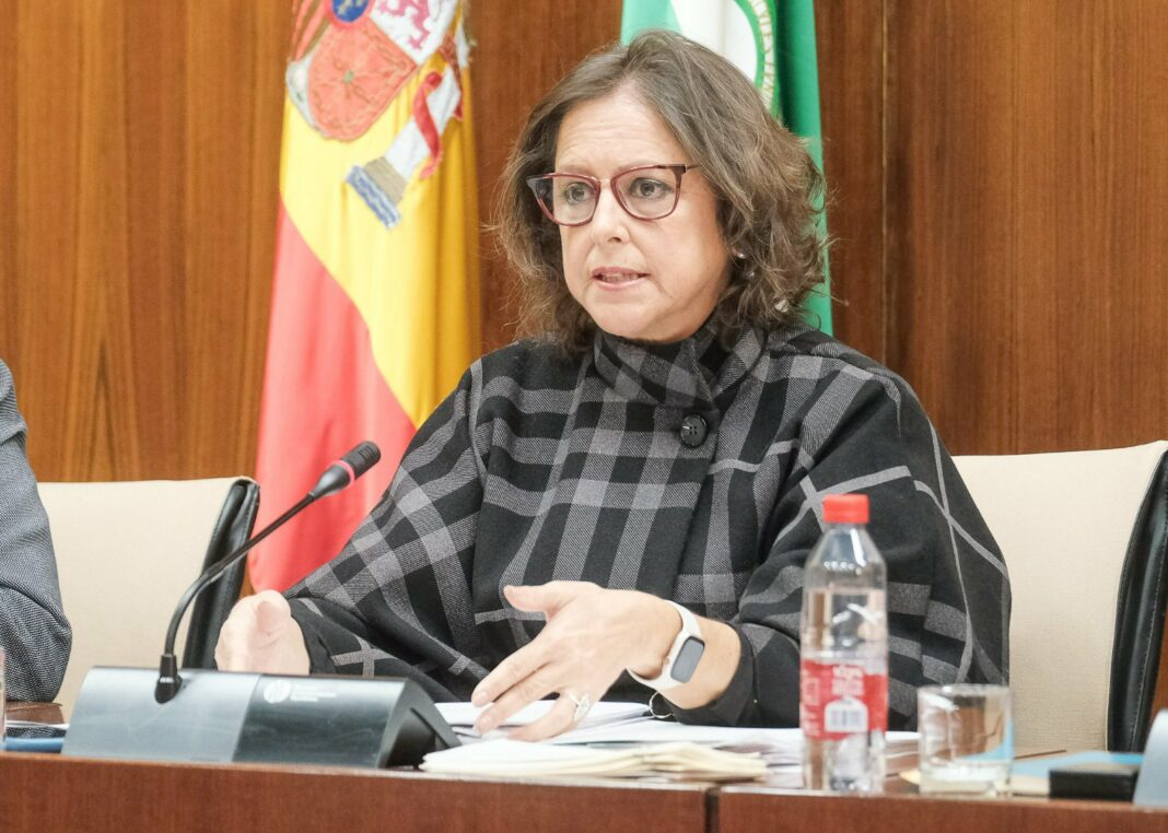 Junta de Andalucía Lina García sanidad pública Parlamento