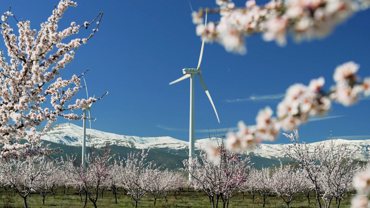 Iberdrola