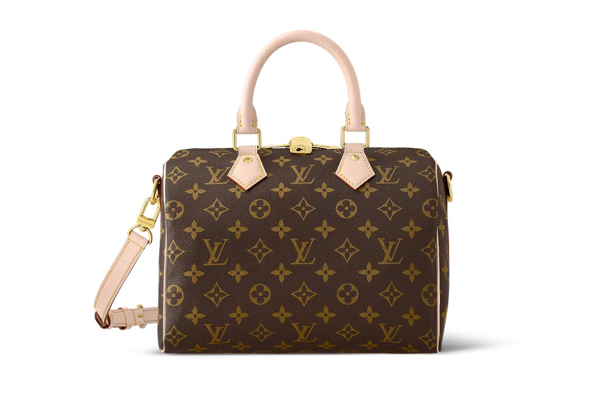 Speedy Louis Vuitton