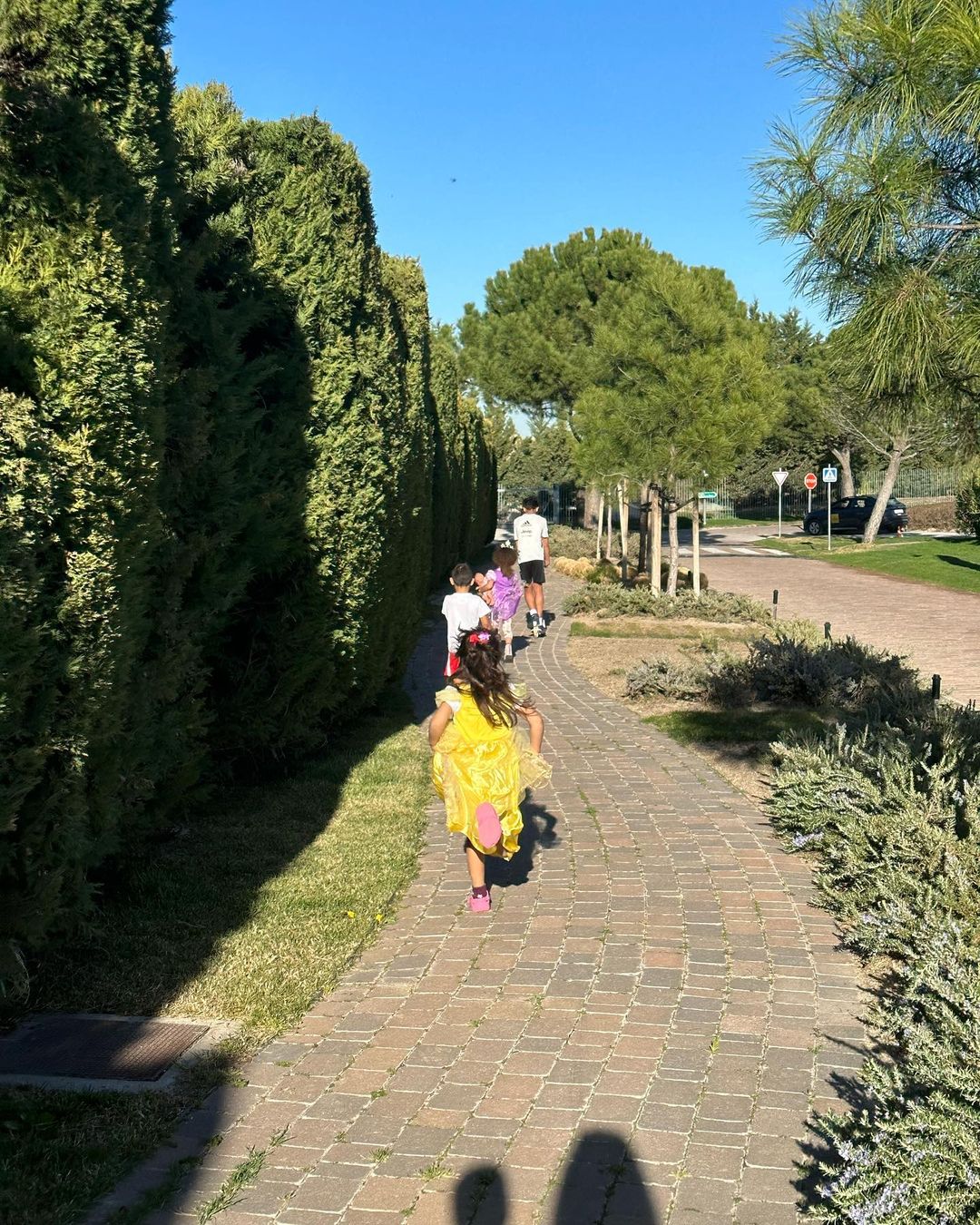 Imagen De Georgina Y Cristiano, ¿En Crisis?: La Pareja Sigue Con Sus Agendas Ajenos A Los Rumores 4 338609933 742412740675791 2316918543001914949 N 2